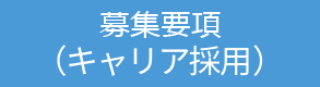 募集要項(キャリア採用)